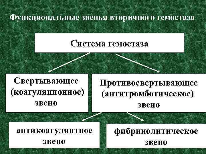 Функциональные звенья вторичного гемостаза Система гемостаза Свертывающее (коагуляционное) звено антикоагулянтное звено Противосвертывающее (антитромботическое) звено