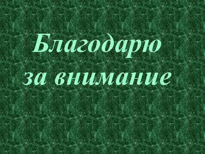 Благодарю за внимание 