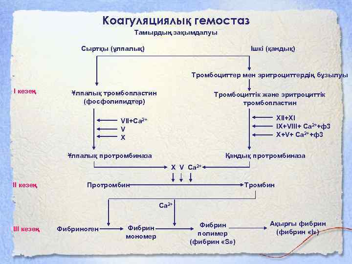 Коагуляциялық гемостаз Тамырдың зақымдалуы Сыртқы (ұлпалық) Ішкі (қандық) Тромбоциттер мен эритроциттердің бұзылуы I кезең