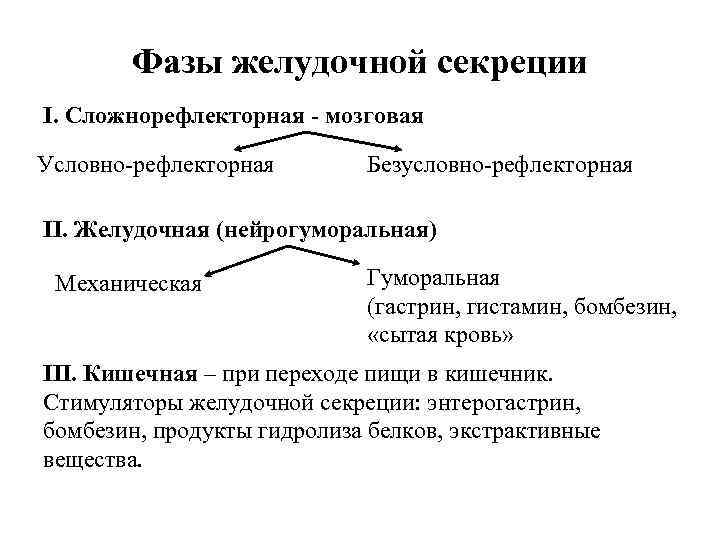 Фазы желудочной секреции I. Сложнорефлекторная - мозговая Условно-рефлекторная Безусловно-рефлекторная II. Желудочная (нейрогуморальная) Механическая Гуморальная