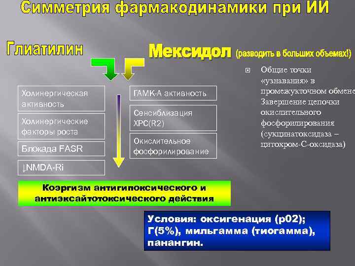  Общие точки «узнавания» в Холинергическая ГАМК-А активность промежукточном обмене активность Завершение цепочки Сенсиблизация