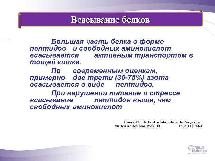 Всасывание белков Большая часть белка в форме пептидов и свободных аминокислот всасывается активным транспортом