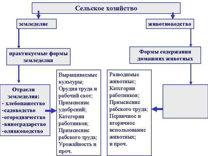 Сельское хозяйство земледелие животноводство практикуемые формы земледелия Отрасли земледелия: - хлебопашество -садоводство -огородничество -виноградарство
