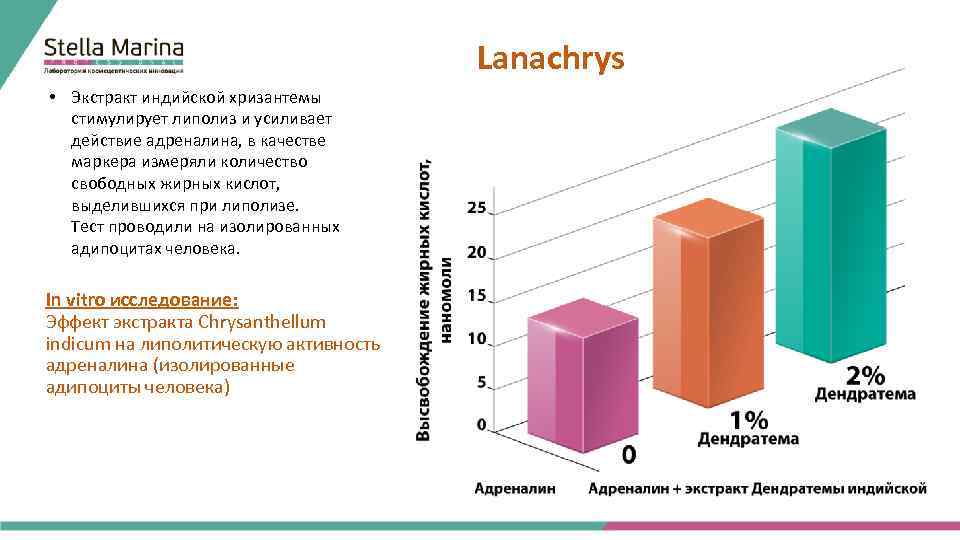 Lanachrys • Экстракт индийской хризантемы стимулирует липолиз и усиливает действие адреналина, в качестве маркера