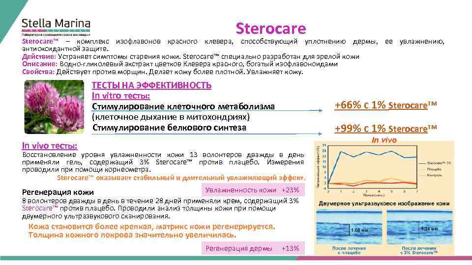 Sterocare Sterocаre™ – комплекс изофлавонов красного клевера, способствующий уплотнению дермы, ее увлажнению, антиоксидантной защите.