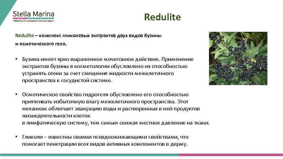 Redulite – комплекс гликолевых экстрактов двух видов бузины и осмотического геля. • Бузина имеет