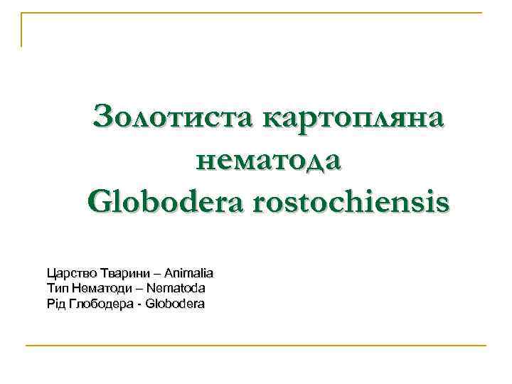 Золотиста картопляна нематода Globodera rostochiensis Царство Тварини – Animalia Тип Нематоди – Nematoda Рід