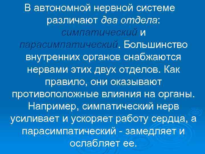  В автономной нервной системе различают два отдела: симпатический и парасимпатический. Большинство внутренних органов
