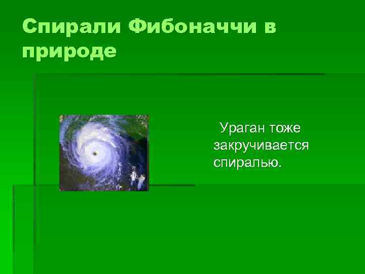 Спирали Фибоначчи в природе Ураган тоже закручивается спиралью. 