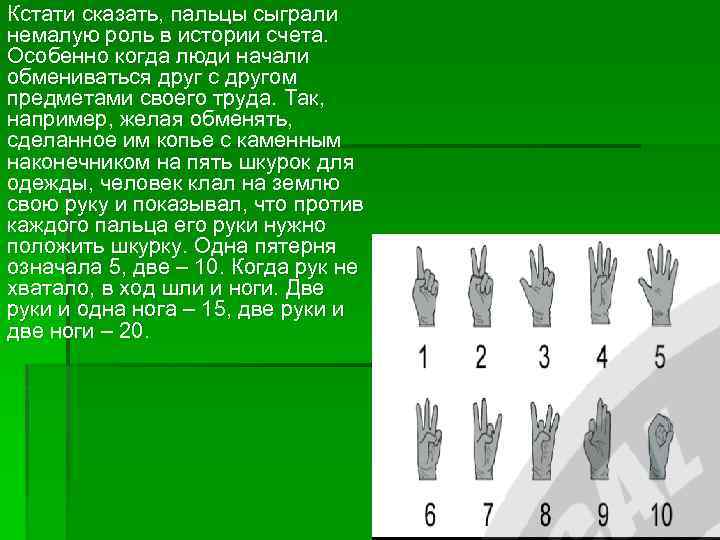 Кстати сказать, пальцы сыграли немалую роль в истории счета. Особенно когда люди начали обмениваться