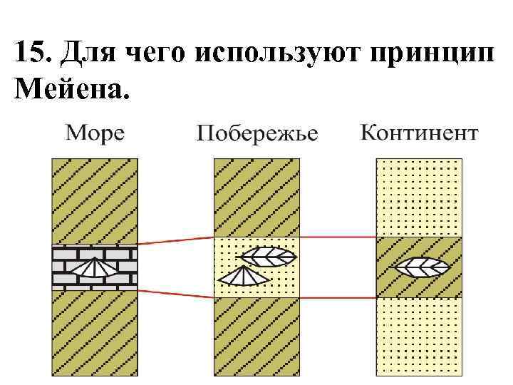 15. Для чего используют принцип Мейена. 