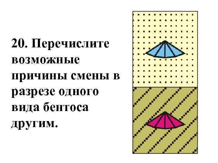 20. Перечислите возможные причины смены в разрезе одного вида бентоса другим. 