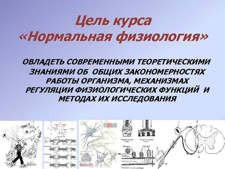 Цель курса «Нормальная физиология» ОВЛАДЕТЬ СОВРЕМЕННЫМИ ТЕОРЕТИЧЕСКИМИ ЗНАНИЯМИ ОБ ОБЩИХ ЗАКОНОМЕРНОСТЯХ РАБОТЫ ОРГАНИЗМА, МЕХАНИЗМАХ