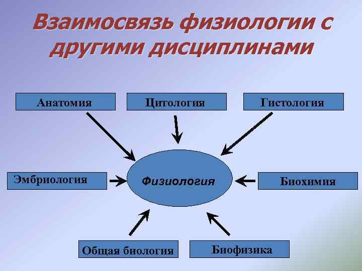 Взаимосвязь физиологии с другими дисциплинами Анатомия Эмбриология Цитология Гистология Физиология Общая биология Биофизика Биохимия