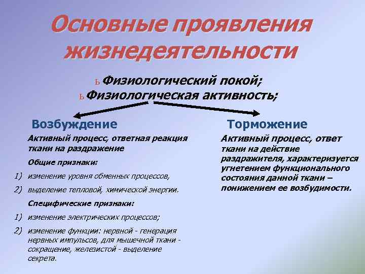 Основные проявления жизнедеятельности ь Физиологический покой; ь Физиологическая активность; Возбуждение Активный процесс, ответная реакция