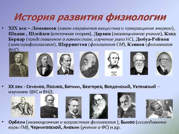 История развития физиологии • XIX век – Ломоносов (закон сохранения вещества и превращения энергии),