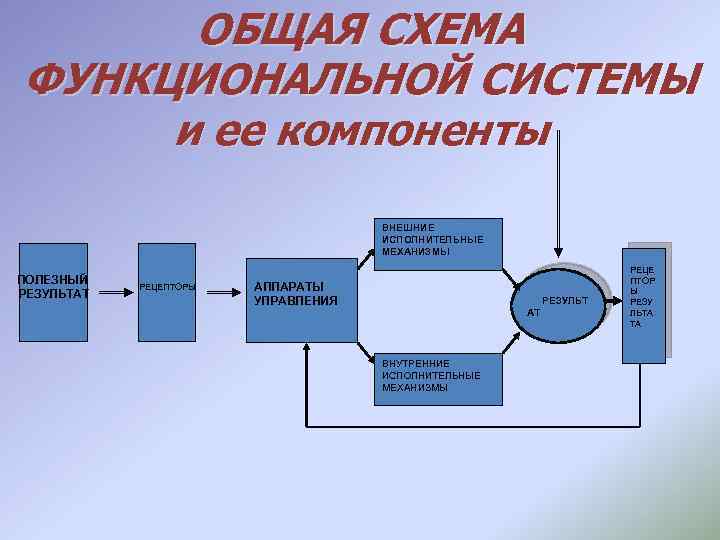 Схема функциональной системы