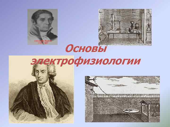 Основы электрофизиологии 