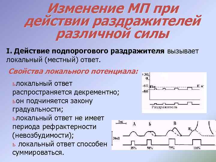 Изменение МП при действии раздражителей различной силы I. Действие подпорогового раздражителя вызывает локальный (местный)