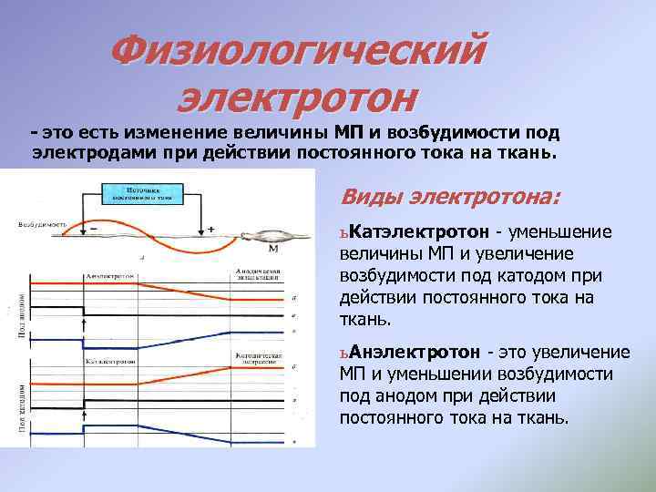 Физиологический электротон - это есть изменение величины МП и возбудимости под электродами при действии