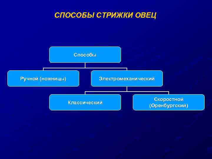 СПОСОБЫ СТРИЖКИ ОВЕЦ Способы Ручной (ножницы) Электромеханический Классический Скоростной (Оренбургский) 
