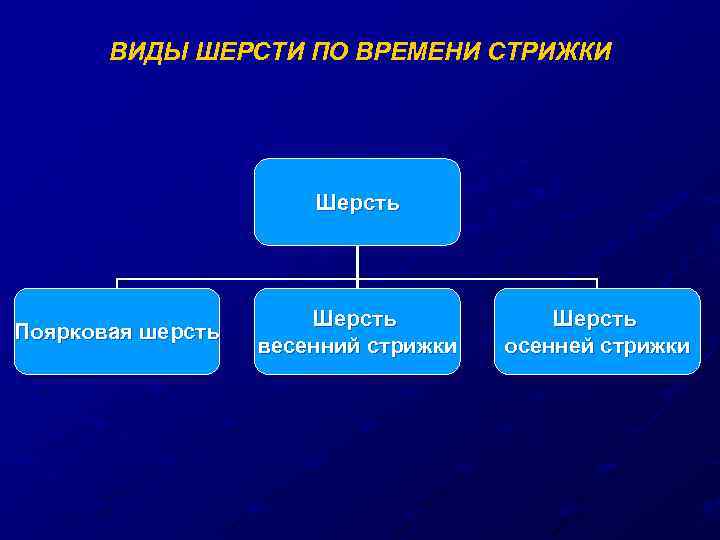 ВИДЫ ШЕРСТИ ПО ВРЕМЕНИ СТРИЖКИ Шерсть Поярковая шерсть Шерсть весенний стрижки Шерсть осенней стрижки