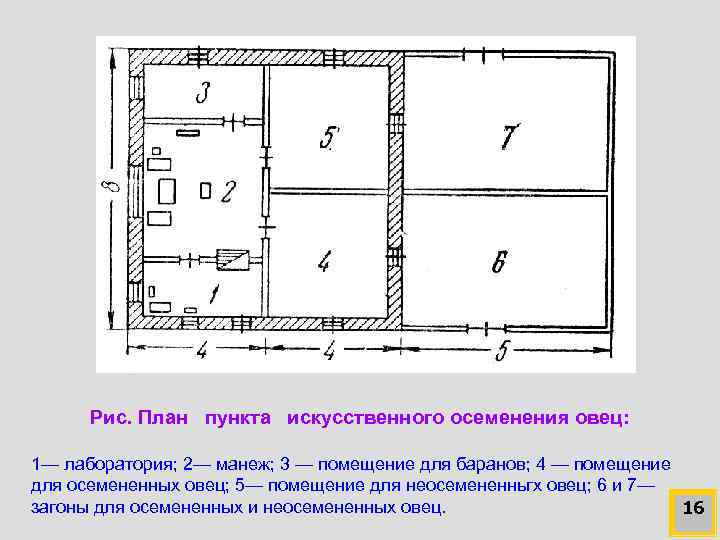 Пункты планирование