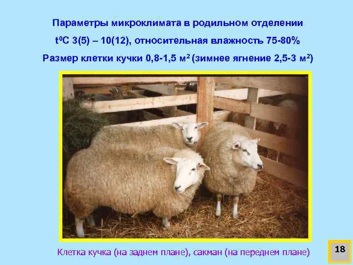 Параметры микроклимата в родильном отделении t 0 C 3(5) – 10(12), относительная влажность 75