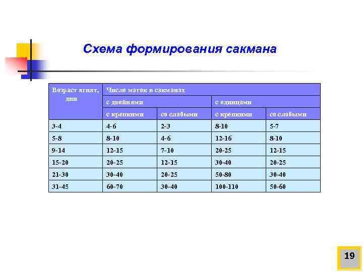Схема формирования сакмана Возраст ягнят, дни Число маток в сакманах с двойнями с одинцами