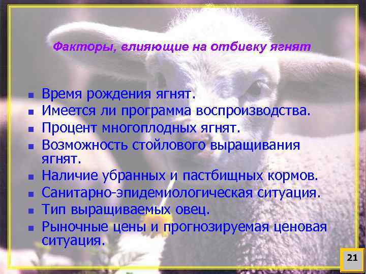 Факторы, влияющие на отбивку ягнят n n n n Время рождения ягнят. Имеется ли