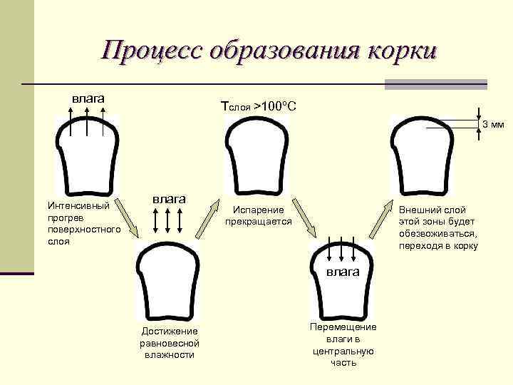 Процесс образования корки влага Тслоя >100ºС 3 мм Интенсивный прогрев поверхностного слоя влага Испарение