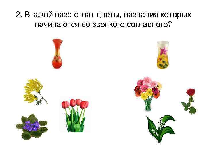 2. В какой вазе стоят цветы, названия которых начинаются со звонкого согласного? 