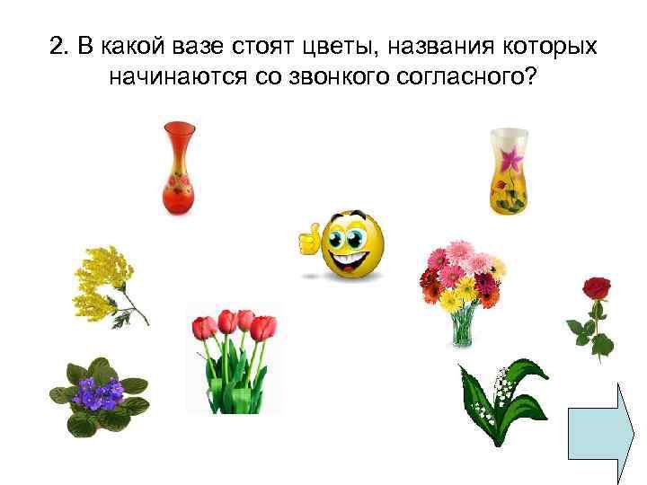 2. В какой вазе стоят цветы, названия которых начинаются со звонкого согласного? 