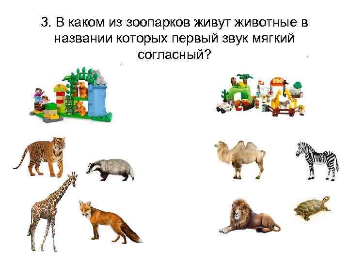 3. В каком из зоопарков живут животные в названии которых первый звук мягкий согласный?