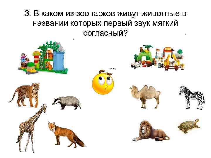3. В каком из зоопарков живут животные в названии которых первый звук мягкий согласный?