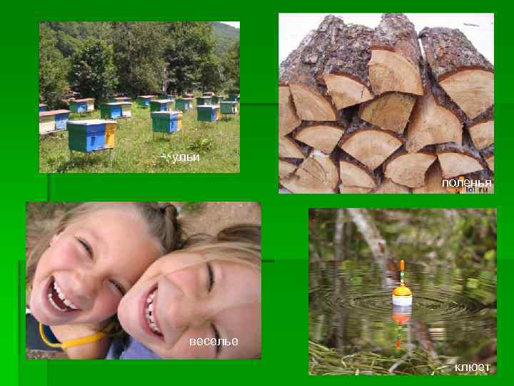 ульи поленья веселье клюет 