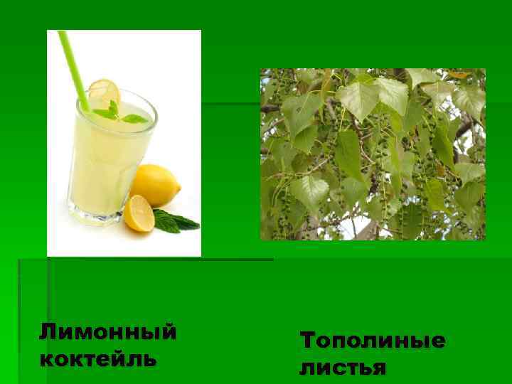 Лимонный коктейль Тополиные листья 
