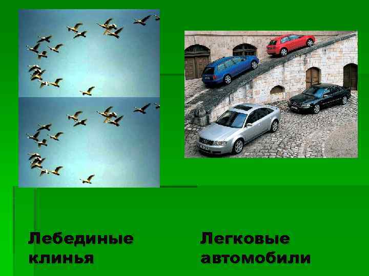 Лебединые клинья Легковые автомобили 