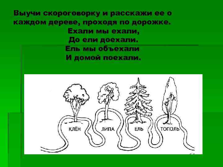 Выучи скороговорку и расскажи ее о каждом дереве, проходя по дорожке. Ехали мы ехали,