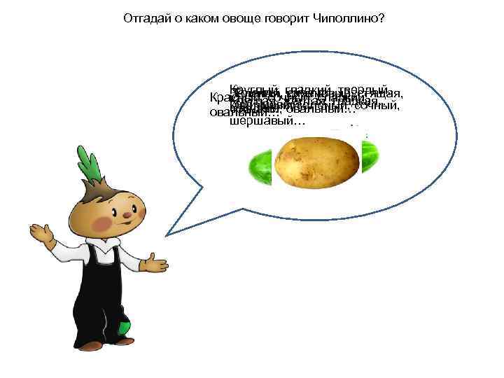 Отгадай о каком овоще говорит Чиполлино? Круглый, гладкий, хрустящая, Зеленая, круглая, твердый, Темный, сиреневый,