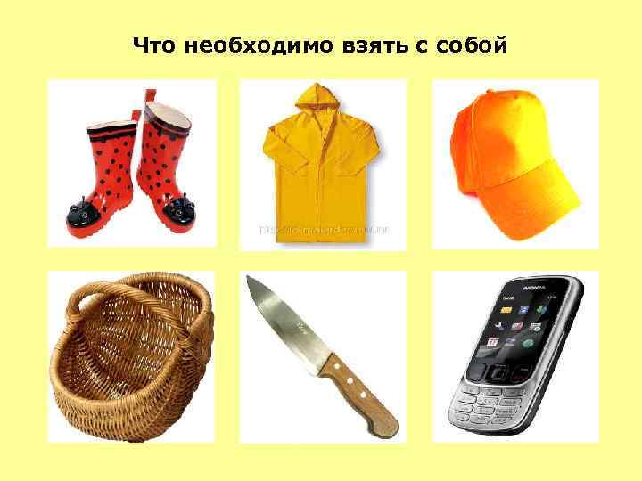 Что необходимо взять с собой 