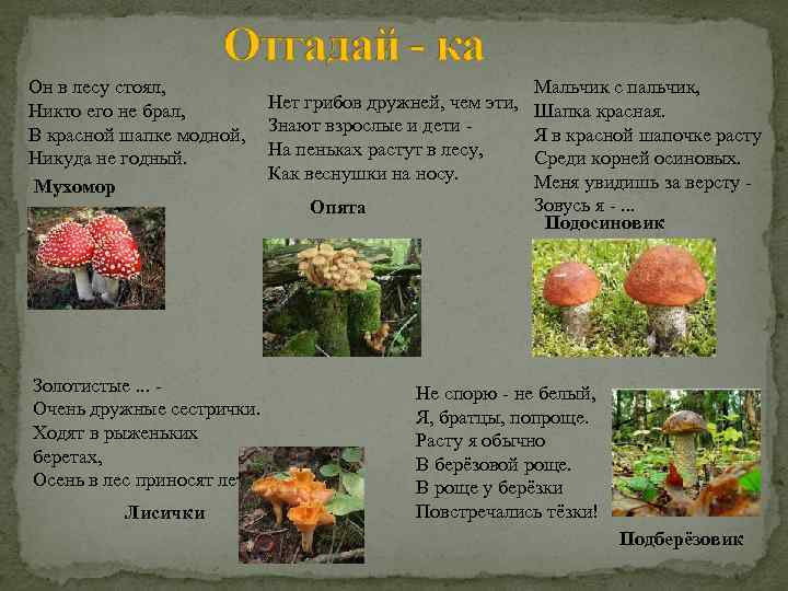 Он в лесу стоял, Никто его не брал, В красной шапке модной, Никуда не