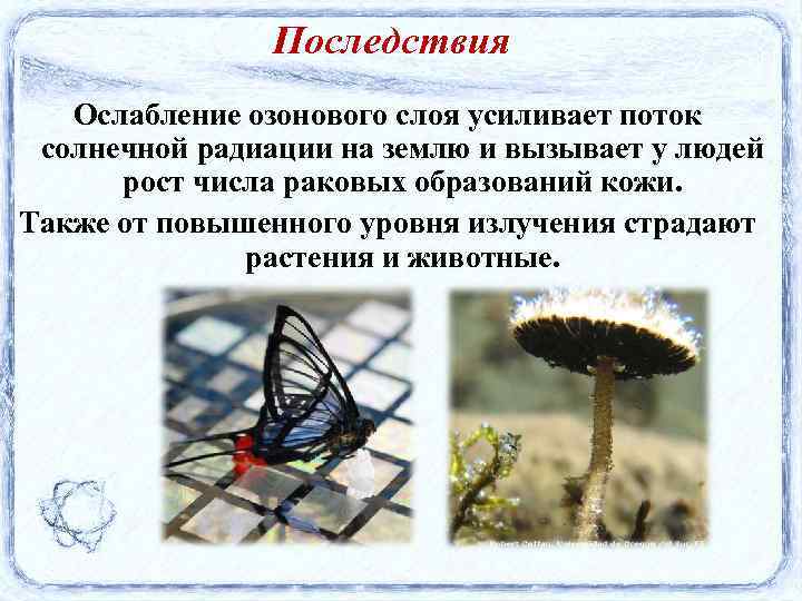 Последствия Ослабление озонового слоя усиливает поток солнечной радиации на землю и вызывает у людей