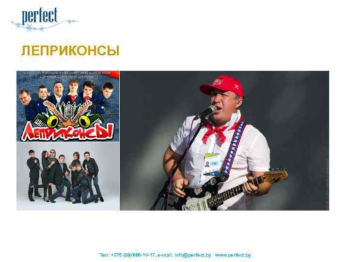 ЛЕПРИКОНСЫ Тел: +375 (29) 666 -18 -17, e-mail: info@perfect. by www. perfect. by 