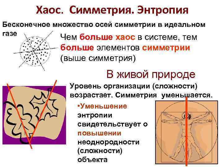  Хаос. Симметрия. Энтропия Бесконечное множество осей симметрии в идеальном газе Чем больше хаос