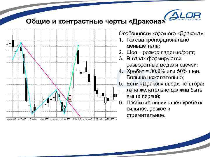 Общие и контрастные черты «Дракона» Особенности хорошего «Дракона» : 1. Голова пропорционально меньше тела;