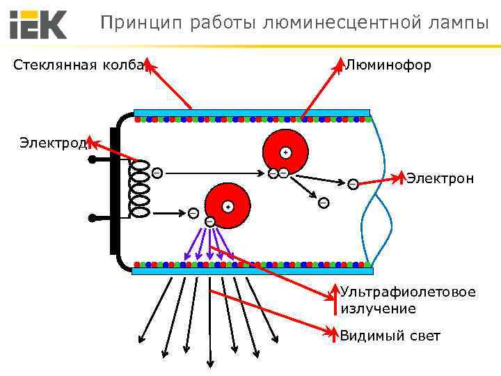 Принцип работы люминесцентной лампы Стеклянная колба Люминофор Электрод ― ― ― Электрон ― ―