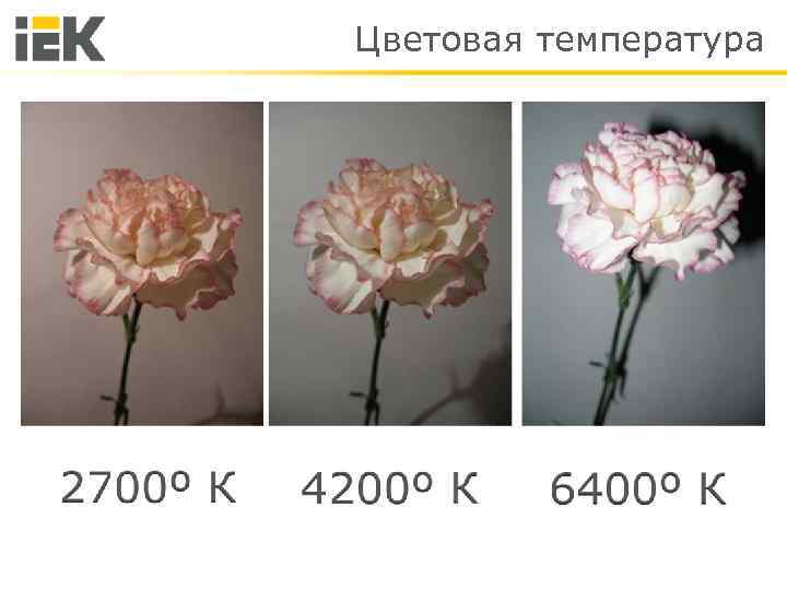 Цветовая температура 