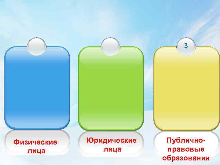 3 Физические лица Юридические лица Публичноправовые образования 
