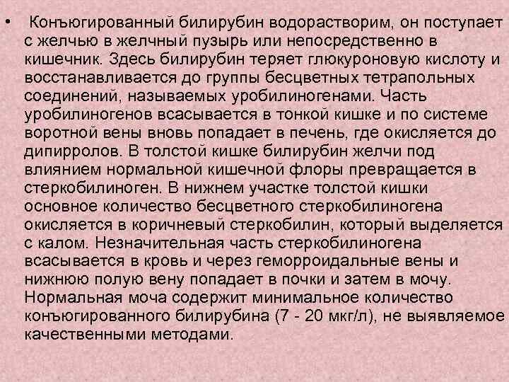  • Конъюгированный билирубин водорастворим, он поступает с желчью в желчный пузырь или непосредственно